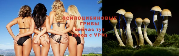 экстази Дмитров