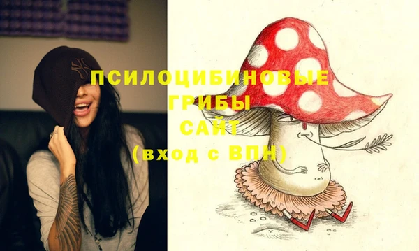 экстази Дмитров