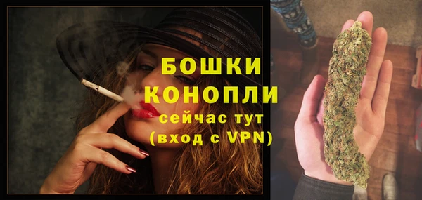 молекула духа Гусев