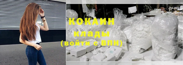 PSILOCYBIN Дмитриев