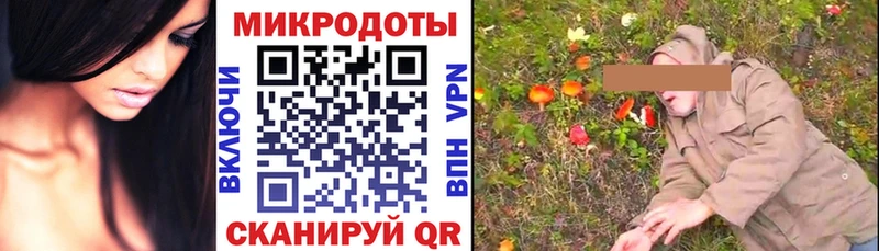 Галлюциногенные грибы Psilocybine cubensis  Железногорск-Илимский 