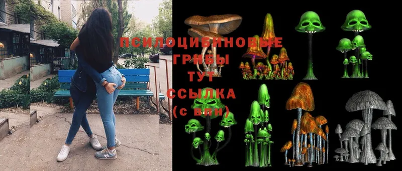 Псилоцибиновые грибы Magic Shrooms  дарнет шоп  Железногорск-Илимский 